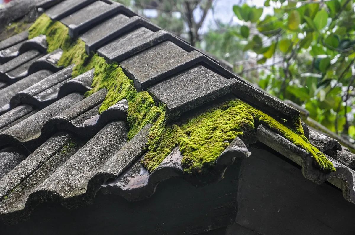 Ridge Tiles vs. Mortar: Which Is Best for Your Roof?